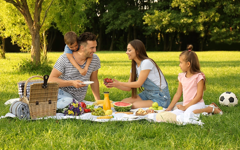 İstanbul Piknik Alanları